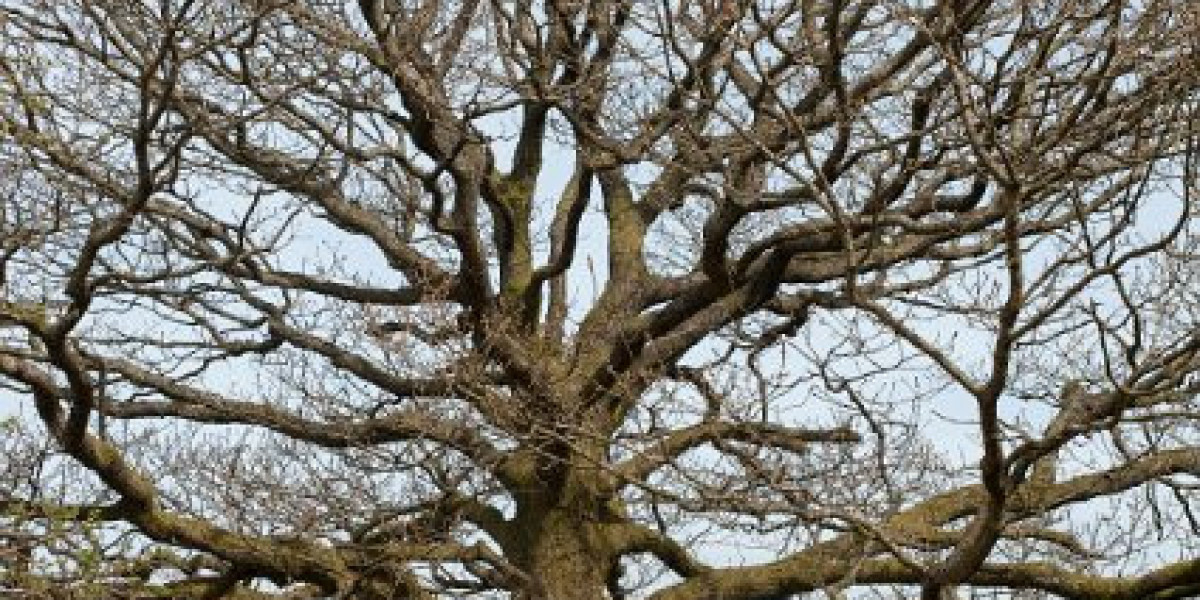 Wachstumshormon HGH – Laborwerte verstehen
