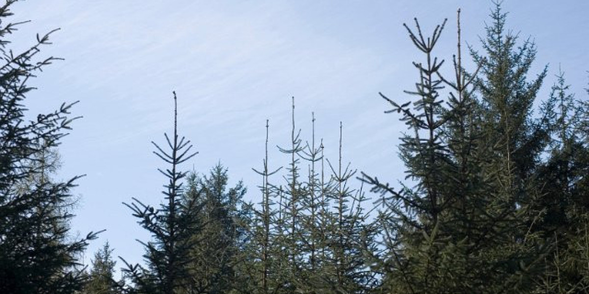 Wachstumshormon und Alterung: Eine klinische Übersicht